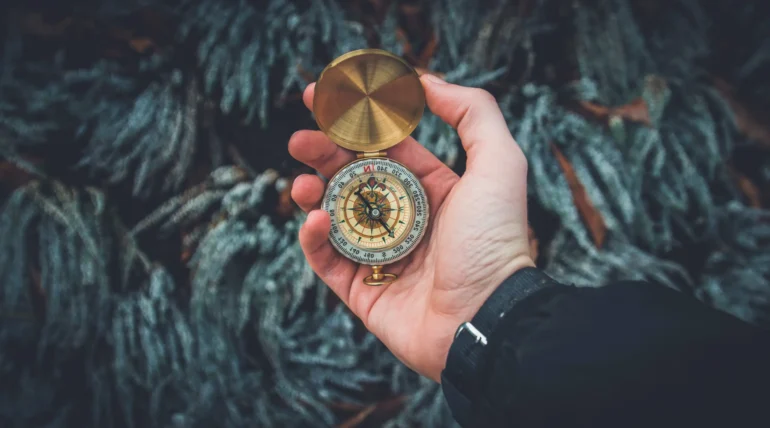 Bússola para encontrar o sucesso através das 5 técnicas japonesas