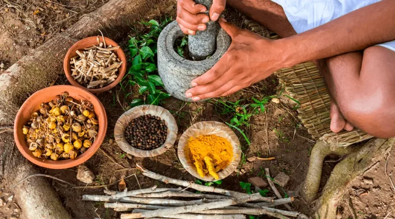 Medicina Indígena: Conexão com a Natureza e Sabedoria Ancestral